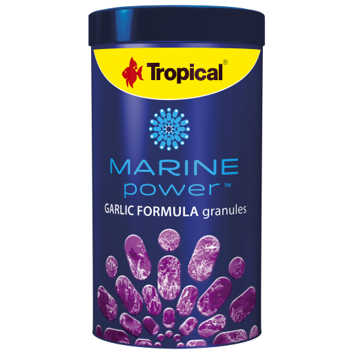 Marine Power