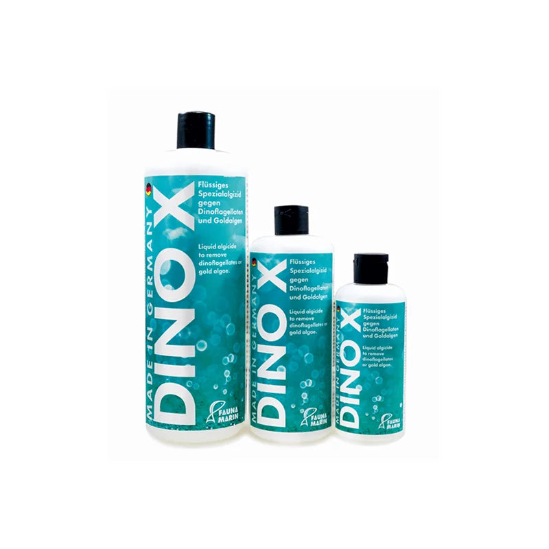 DINO X
