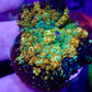 Power Ball Mushroom WYSIWYG
