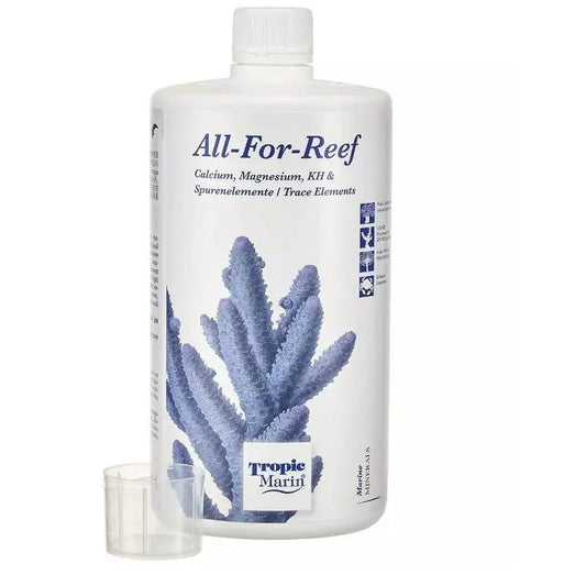 All-For-Reef