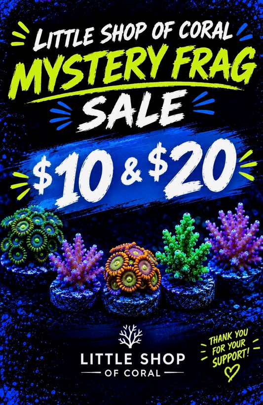 $10 and $20 Mystery Frag Sale