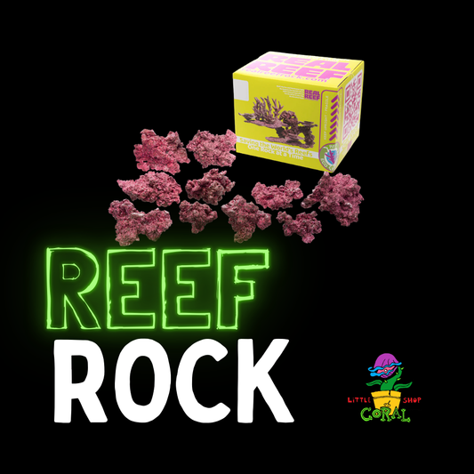 Real Reef Rock (Per Pound)